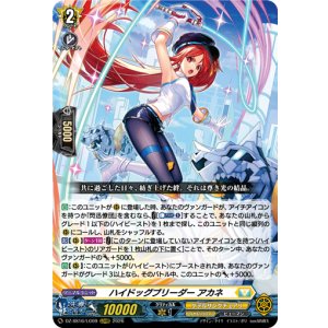 画像: ハイドッグブリーダー アカネ