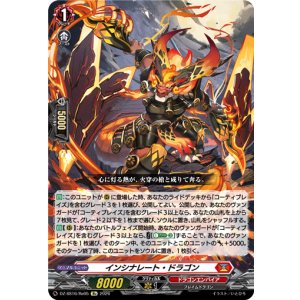 画像: インシナレート・ドラゴン