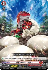 画像: 幼竜 ガルグレックス