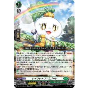 画像: シャワシャワ・カブーレ