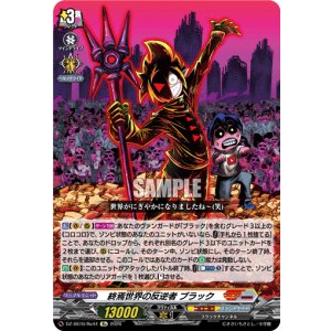 画像: 終焉世界の反逆者 ブラック