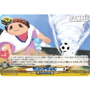 画像: ダンシングタートル