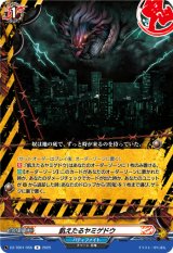 画像: 飢えたるヤミゲドウ