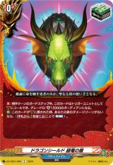 画像: ドラゴンシールド 緑竜の盾