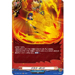 画像: 【ホロ】ドラゴ・ボンド