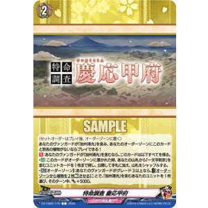 画像: 特命調査 慶応甲府