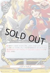 画像: バディヘルプ