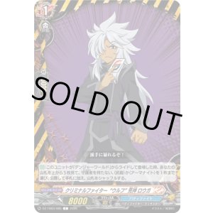画像: クリミナルファイター“ウルフ” 荒神 ロウガ