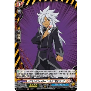 画像: 【ホロ】クリミナルファイター“ウルフ” 荒神 ロウガ