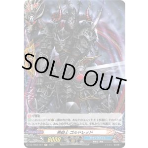 画像: 【ホロ】黒騎士 ゴルドレッド