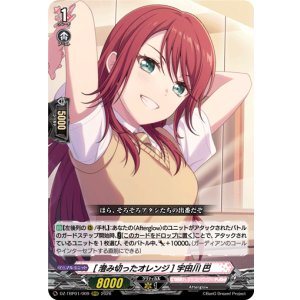 画像: [澄み切ったオレンジ] 宇田川 巴