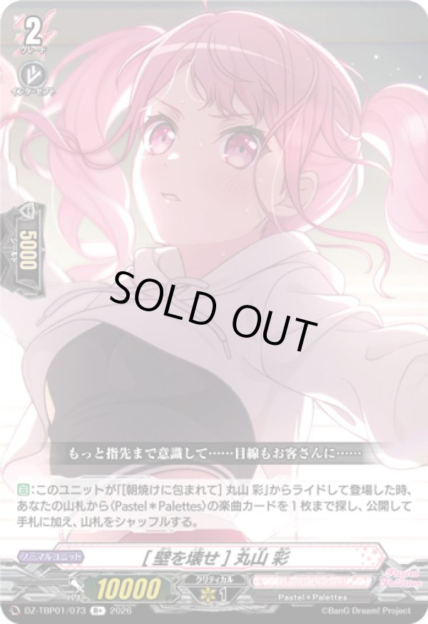 画像1: [壁を壊せ] 丸山 彩