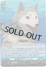 画像: 義理堅き忠犬 コロマル