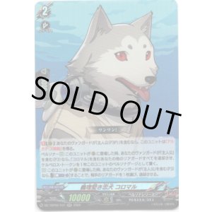 画像: 義理堅き忠犬 コロマル