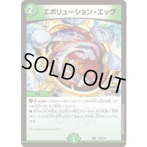 画像: エボリューション・エッグ