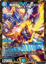 画像: 飛翔龍 5000VT