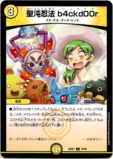 画像1: 聖沌忍法 b4ckd00r