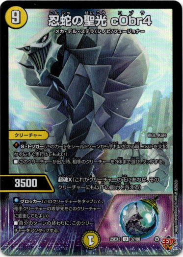 画像1: 忍蛇の聖光 c0br4