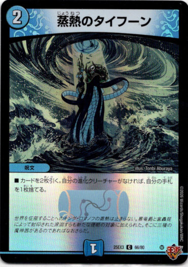 画像1: 蒸熱のタイフーン