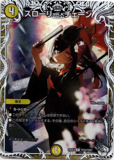 画像1: スローリー・チェーン