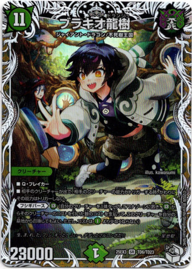 画像1: ブラキオ龍樹