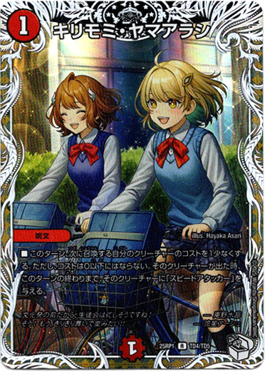 画像1: キリモミ・ヤマアラシ