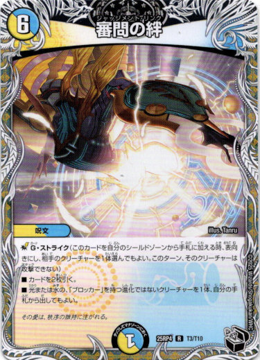 画像1: 審問の絆