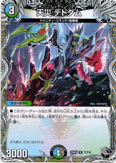 画像1: 天災 デドダム