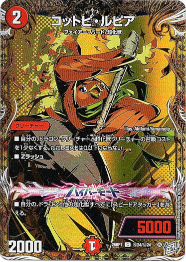 画像1: コットピ・ルピア