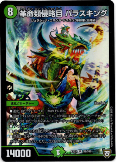 画像1: ※傷有り品（返品交換対象外）革命類侵略目 パラスキング