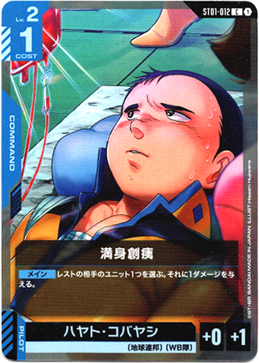 画像1: 満身創痍