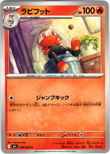 画像1: ラビフット