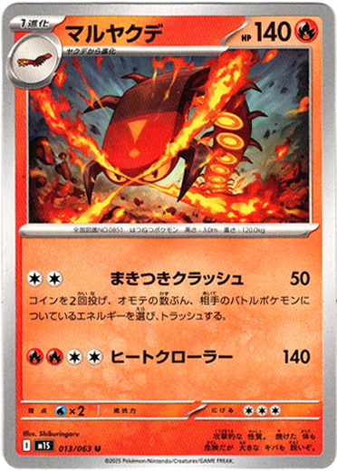 画像1: マルヤクデ