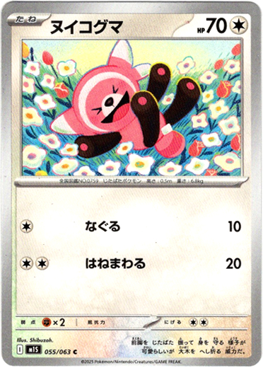 画像1: ヌイコグマ