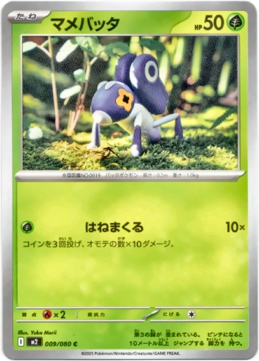 画像1: マメバッタ