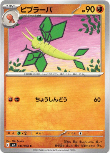 画像1: ビブラーバ