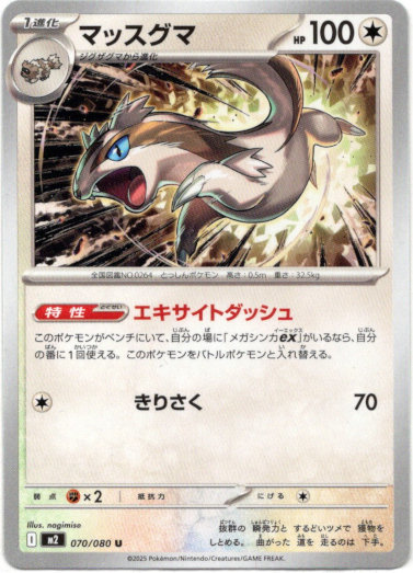 画像1: マッスグマ