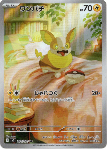 画像1: 【AR】ワンパチ