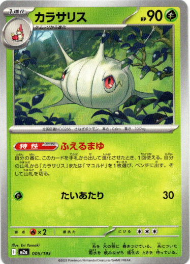 画像1: カラサリス