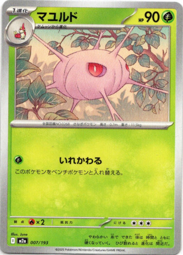 画像1: マユルド