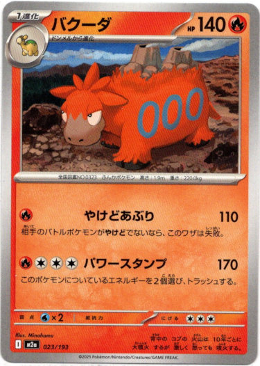 画像1: バクーダ