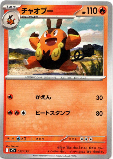 画像1: チャオブー