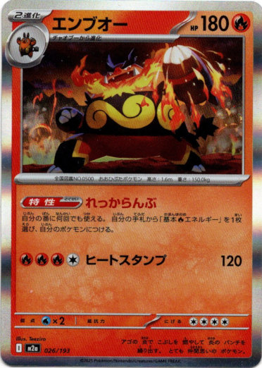 画像1: エンブオー