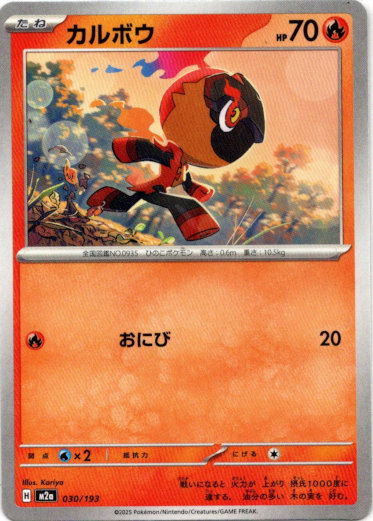 画像1: カルボウ