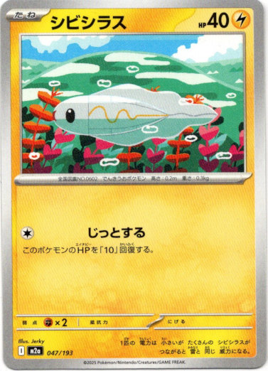 画像1: シビシラス