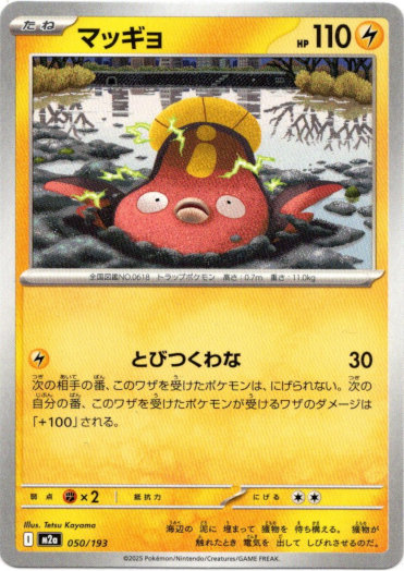 画像1: マッギョ