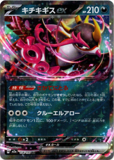 画像1: キチキギスex