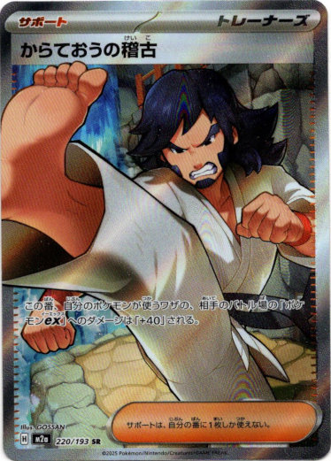 画像1: 【SR】からておうの稽古