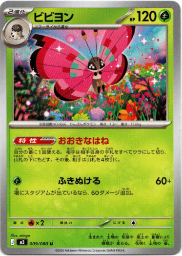 画像1: ビビヨン