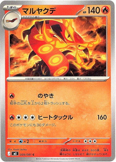 画像1: マルヤクデ